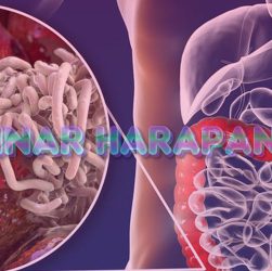 Ini Jenis-jenis Cacing yang Bisa Masuk ke Tubuh Manusia